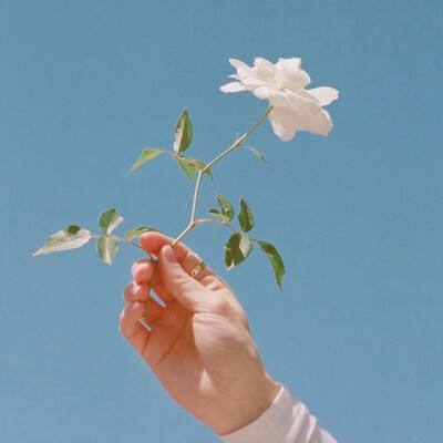 英雄训练师折扣版下载